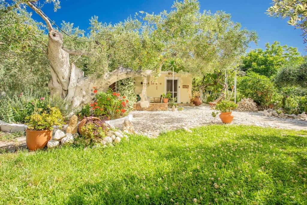 Anthia Private Studio A Breath Away From Beaches Áyios Nikítas Exterior foto